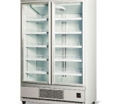 凯雪双门饮料柜KX-1.2HLC商用立式冷藏展示柜大二门保鲜陈列柜