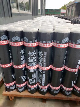 sbs改性瀝青防水卷材聚酯胎防水卷材廠家直供物流直達(dá)