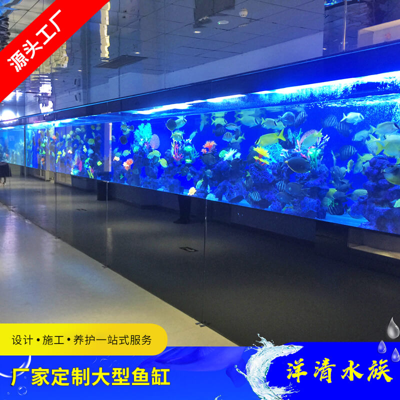 吧台玄关电视柜鱼缸定制商用型超市海鲜池大型亚克力水族箱设计