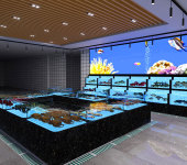 亚克力鱼缸施工设计厂家超白玻璃大型水草缸带制冷机超市海鲜池