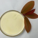 飼料益生菌微生物益生菌廠家100億植物乳桿菌廠家飼料乳酸菌