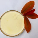 食品級植物乳桿菌植物乳桿菌廠家江蘇植物乳桿菌