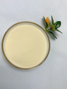 江蘇植物乳桿菌200億植物乳桿菌益生菌乳桿菌微生物復合益生菌