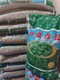 蠶豆種子袋裝