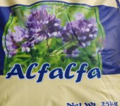 紫花苜蓿种子批发种子报价