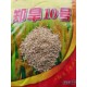 旱稻種子