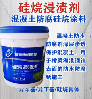 怒江硅烷膏體硅烷浸漬劑