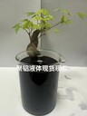 聚鋁液體現(xiàn)貨現(xiàn)發(fā)