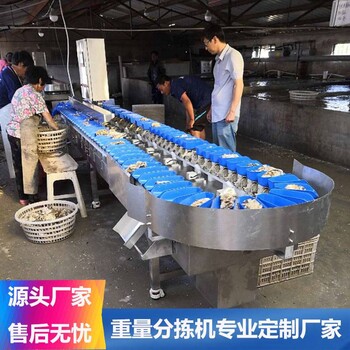 螃蟹全自動稱重重量分級分選機(jī)大蝦重量分揀機(jī)全自動稱重分揀機(jī)