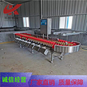 雞腿全自動稱重分級分選機雞胸肉雞排重量分揀機