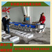 人參果全自動(dòng)重量分級(jí)分選機(jī)百香果稱重分揀機(jī)