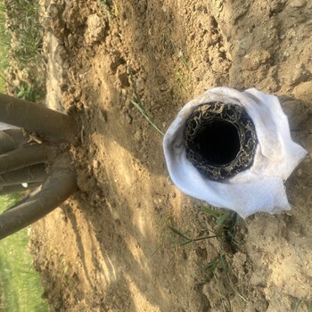 樹木移栽透氣管50mm大樹移栽透氣筒80mm樹木根部呼吸管