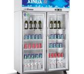 格林斯达商用冰箱SG1.0E2大二门冷藏展示柜双门保鲜陈列柜