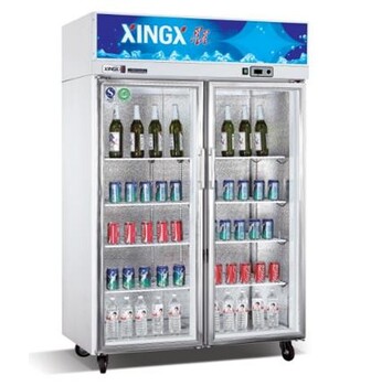 格林斯達商用冰箱SG1.0E2大二門冷藏展示柜雙門保鮮陳列柜