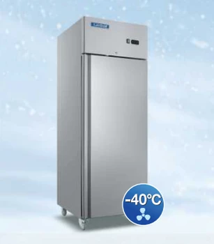 洛德商用冰箱KSF-40單門冷凍柜酒店低溫冷凍柜