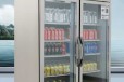 洛德商用冰箱DBG1.0L2LD大二门风冷冷藏展示柜双门保鲜陈列柜