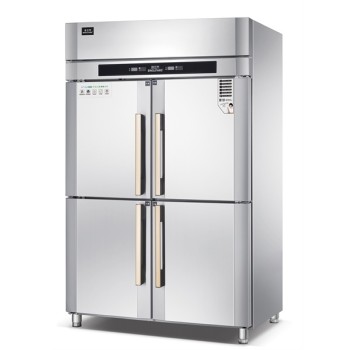 冰立方商用冰箱RX2欧款立式冷藏柜大二门冷藏冰箱