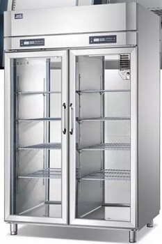 冰立方商用冰箱BCF40單門低溫冷凍冰箱40層冷凍柜