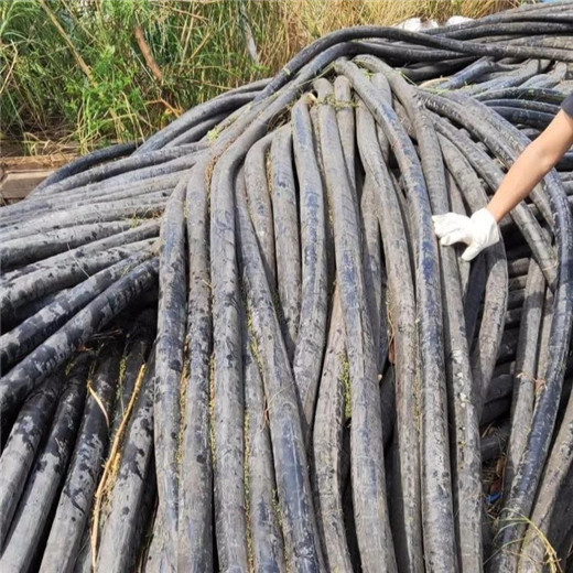 祁门县回收废铜电缆在哪里本地现场结算免费上门