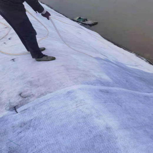 12公斤护坡混凝土固化毯是什么及使用方法汉川市