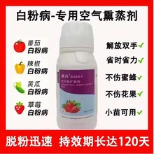 遇到熏白，再也不擔(dān)心白粉病了！不用打藥，用一次可管兩個(gè)月圖片