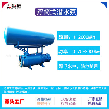 800方臥式漂浮潛水泵參數(shù)