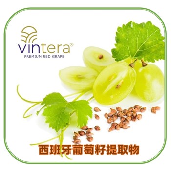 VINTERA葡萄籽提取物95%葡萄籽提取物天然植物香料