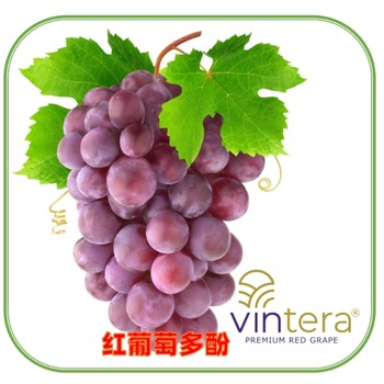 VINTERA红葡萄多酚VINTERA红葡萄浓缩粉