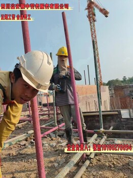 內江出國打工勞務公司塔吊工程車司機工資月發月薪3萬