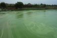 十堰黑臭绿藻水体快速净化中性无机微生物凝集剂