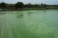廣州黑臭綠藻水體治理中性無機物化凝集復合劑銷售