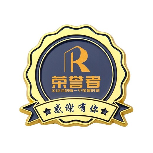 公司現(xiàn)貨徽章無需開模定制金屬徽章廠家