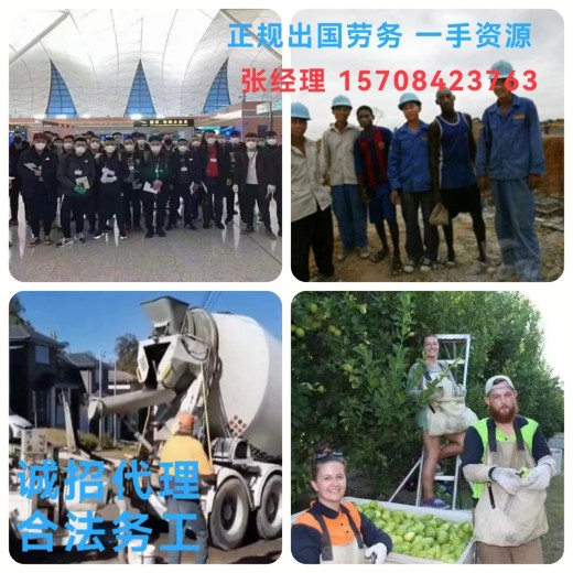 四川省乐山市中区出国正规工签货运司机年薪50W