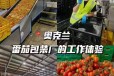 河南濮阳靠谱的出国劳务公司-月薪1.8W-3.5W-澳门