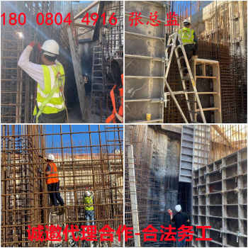 河南鄢陵县有实力的出国劳务公司要升降机工.吊车德国-瑞士