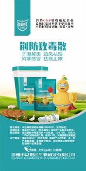 荊防敗毒散｜風寒感冒