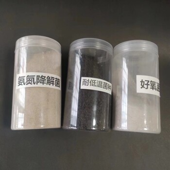 恩施黑臭水體治理用菌種污水處理好氧菌厭氧菌廠家及價格