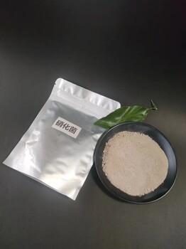 咸寧化工污水處理生物菌種降低氨氮值好氧菌厭氧菌廠家批發