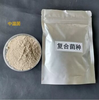 汕頭污水處理微生物菌種復(fù)合菌劑批發(fā)價格