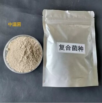 内江垃圾场污水处理用菌种好氧菌厌氧菌调节水质平衡效果好