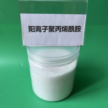 株洲皮革厂污水处理用阳离子聚丙烯酰胺污泥脱水剂使用方法