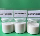 南通化学纤维废水处理用阴离子聚丙烯酰胺絮凝沉淀剂工艺流程