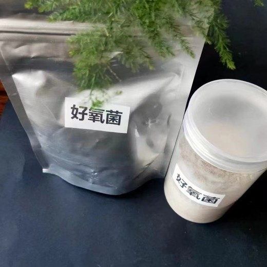 盐城垃圾渗滤液用生物菌种开碧源牌cod降解菌剂使用方法