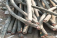 二手电缆线回收靖州苗族侗族自治回收废电缆