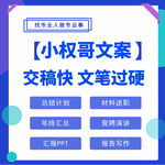 新公司簡介代寫代寫企業介紹代做企業宣傳PPT