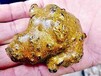 阿拉善盟豬寶豬砂私人當(dāng)天現(xiàn)金收購—豬寶收購電話