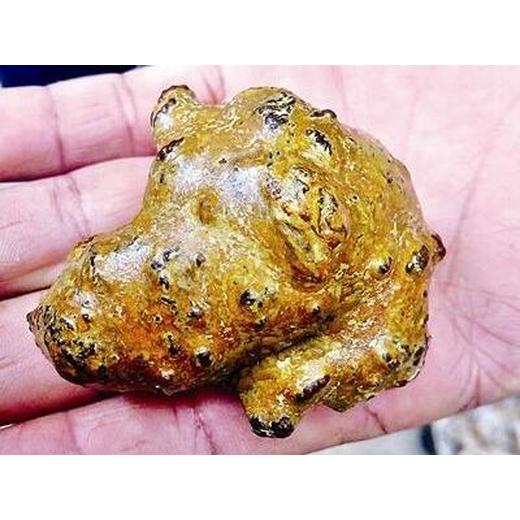 阿拉善盟豬寶豬砂私人當天現金收購—豬寶收購電話