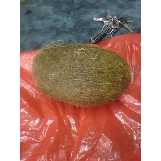山西貝殼化石出售平臺聯(lián)系方式—古瓷器館收購聯(lián)系方式