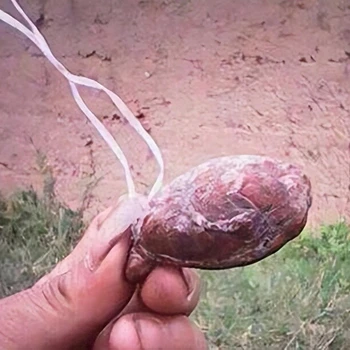 陜西收購化石聯(lián)系方式—收購高古玉的電話