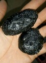 黑龍江收購豬砂聯(lián)系方式—收購隕石的電話